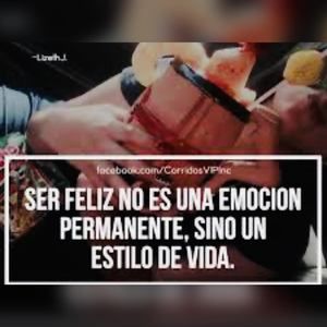 Meet your Posher, Letty